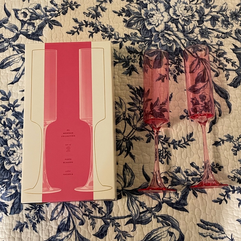 NIB Anthropologie TikTok Viral Champagne Flutes